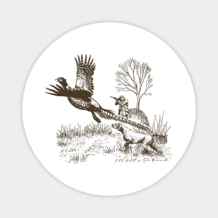 Hunting pheasant with GSP Magnet